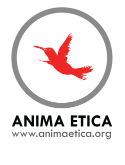 ANIMA ETICA NON PROFIT-logo