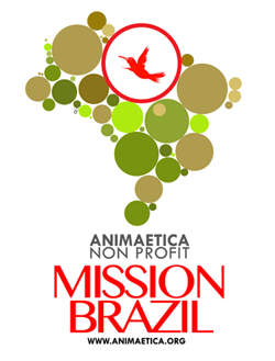 ANIMA ETICA - MISSION BRAZIL-logo