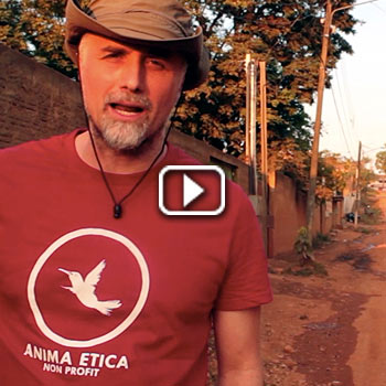 MISSION-BRAZIL-ANIMA-ETICA-NON-PROFIT-VIDEO